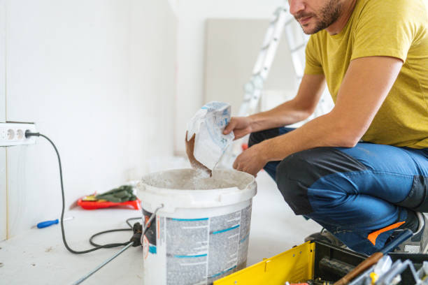 Best Basement Mold Removal  in Citronelle, AL
