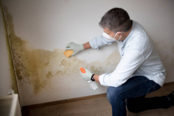 Best Forensic Mold Investigation  in Citronelle, AL