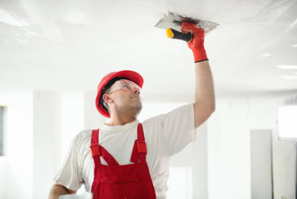 Trusted Citronelle, AL Mold Removal Experts