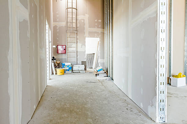Best Attic Mold Removal  in Citronelle, AL
